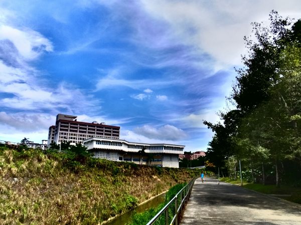 【心靈療癒】政大越嶺貓空夕陽情183032