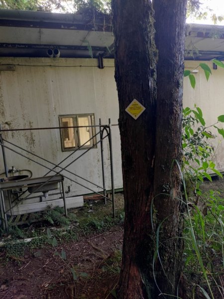 🥵20231107南一段會繞過🤷忘記的溪南山2340102