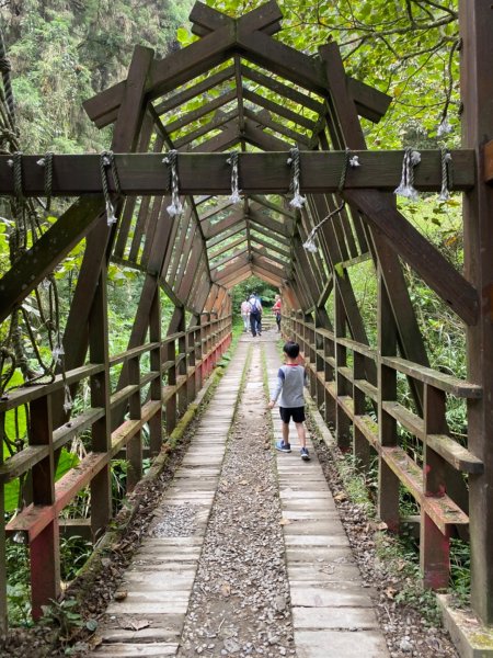 20191109貓仔們之溪頭森林步道探索757215
