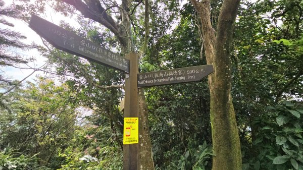 圓通寺烘爐地登山步道大O走3006995
