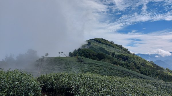 雲嘉九連峰1438953