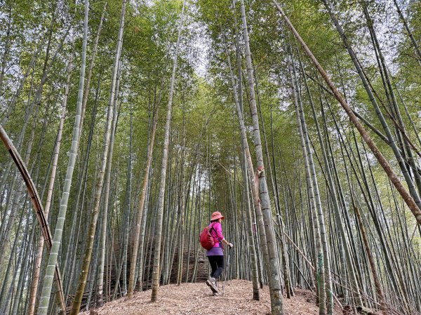 溪頭四秀+羊彎四秀202601182991364