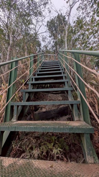 後尖山步道3008309