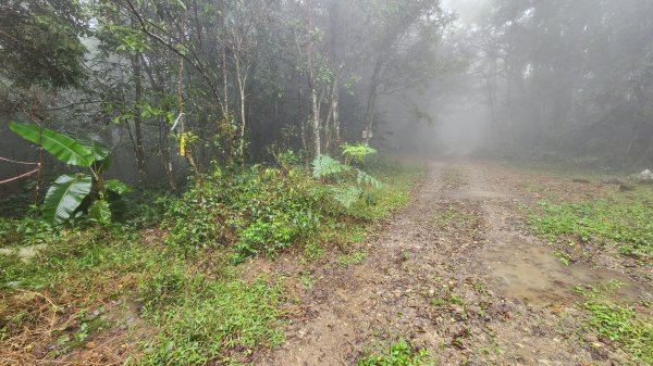 111/12/17六龜警備道：鳴海山-真我山-茂林1978084