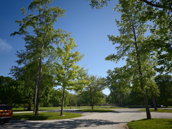 [美國行-03] 2026_0510 火雞跑步州立公園-吊橋3058832