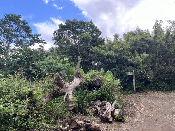 2024_1020 貴子坑親山步道2634244