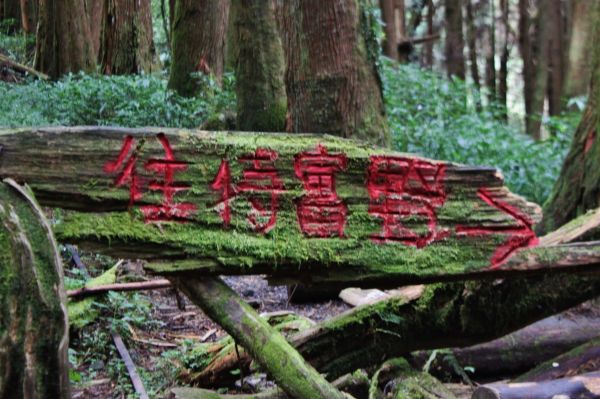 特富野古道201443