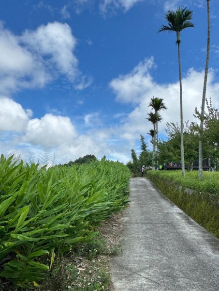 麻竹湖步道走麻竹湖山/阿郡山2821279