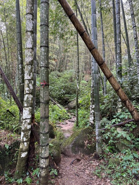 陡上陡下的溪頭鳳凰山1872909