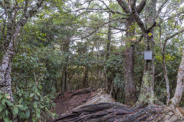 谷關七雄_屋我尾山2977011