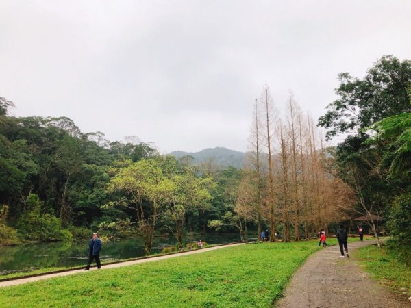 福山植物園511009