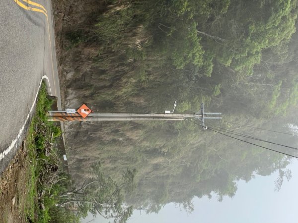 2026騎車跑了一趟雲嘉，入住樹屋3057548