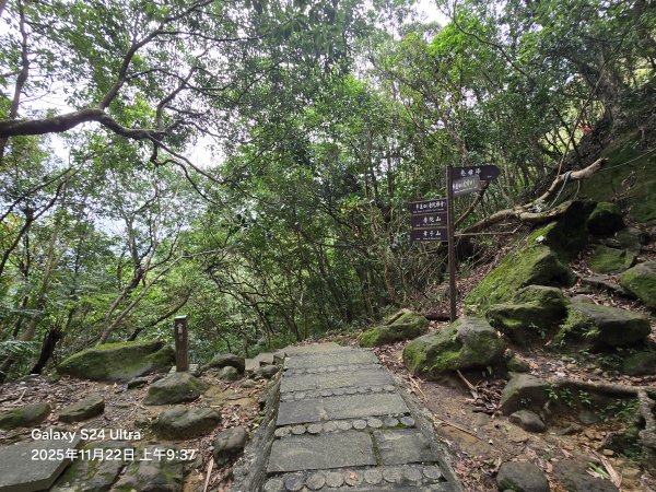 2025-11-22微笑山線：【五分山系】平溪小黃山段2943290