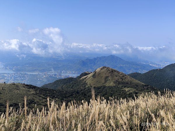 【臺北大縱走 2】【第二回合全程完成證書】鞍部→大屯山步道→大屯山主峰→大屯坪步道→二子坪步道2960378