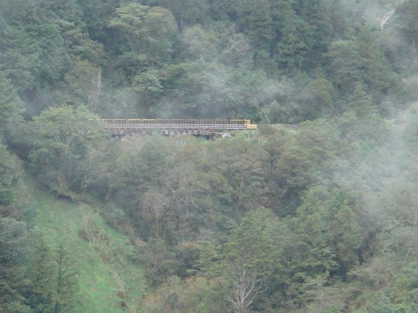 太平山茂興懷舊步道582883