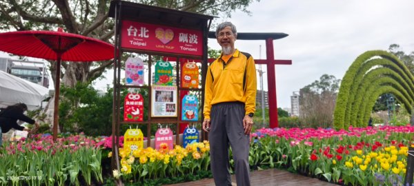 #士林官邸 #鬱金香 #碧山巖 #椿寒櫻 #國父紀念館 #八重櫻 3/5 #三層崎 #嗄嘮別 3/63010407