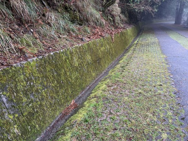 大雪山森林遊樂區2737488