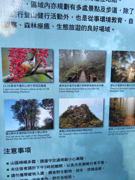 稍來小雪山國家步道、船型山、鞍馬山、鞍馬山東北峰、天池、雪山神木2799804