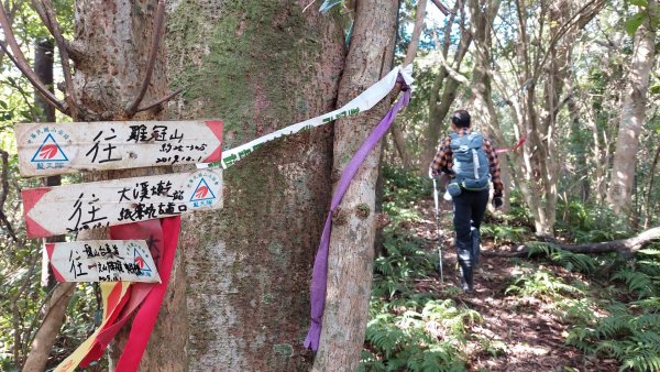 新北石碇姑娘山、雞冠山、松柏崎山、紙寮坑古道8字行1968494