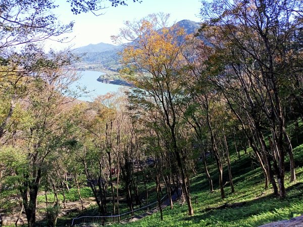 桃園大溪石門水庫楓林步道、齋明寺古道【南山神壽任務】1963891