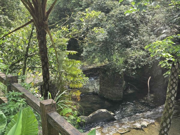 20260623中坑古道-仿山坑古道-火燒寮古道徹退