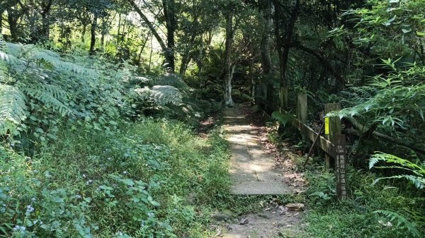 20251004 馬那邦山 - 珠湖 登山口2904985