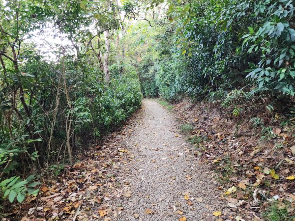 新竹湖口｜萬年道、仁和步道、金獅古道、漢卿步道2912202