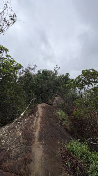 迎新（2026元旦2975580