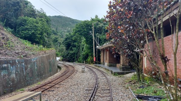 雲嘉九連峰1438974
