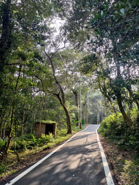 【新竹縣橫山鄉】大崎棟步道2833207