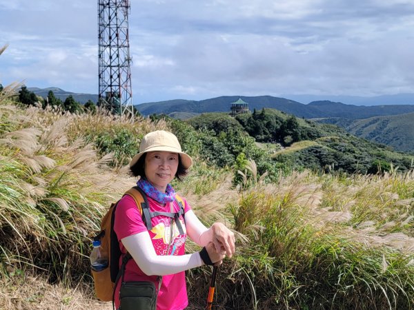 苗圃-七星山主,東峰-大屯山主峰-二子坪-202410262859686