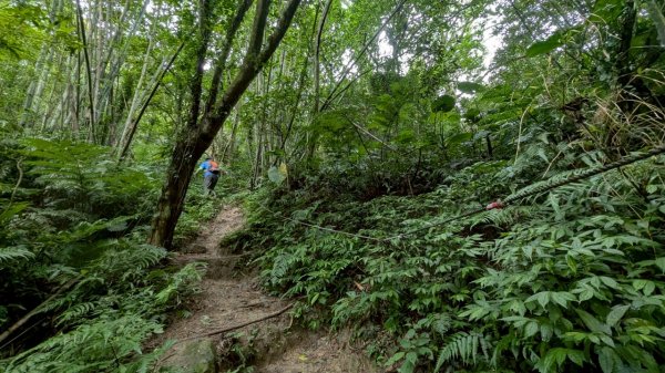 114.06.14雙石縱走&石門水庫-石牛山之旅2812241