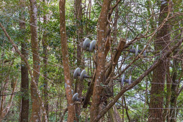 谷關七雄_波津加山2977609