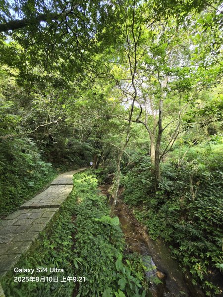 2025-08-10臺北大縱走第六段：中華科技大學至捷運麟光站2856570