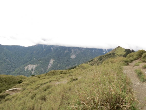 合歡山東峰-尖山-小奇萊-石門山2513099