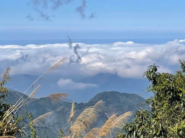 小百岳(60)-奮起湖大凍山-202201091691120