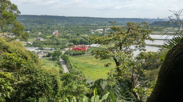 新溪洲山之樂400369