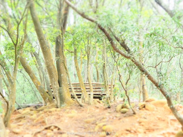 《苗栗》心靈之旅｜火炎山步道O繞南鞍古道201804212890663