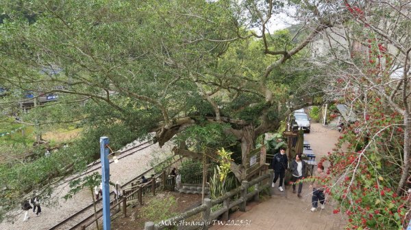 《苗栗》台鐵舊山線｜三義勝興鐵道覓境及挑柴古道O繞202501192693611