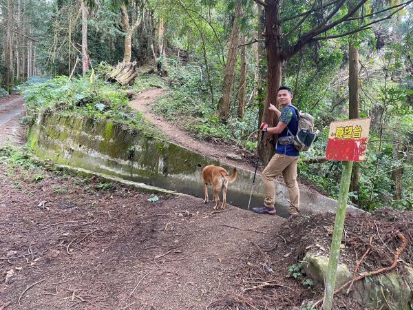 望鄉部落.獵人古道.望美山.瓊山【人與自然山林的恩怨情仇】2731399
