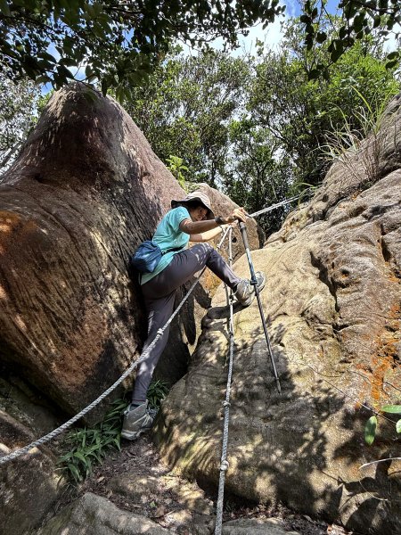 新山夢湖 小O繞 2025/05/302811042