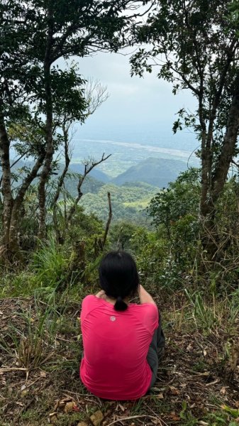 三針後山、雙連埤犬香薷節2592714