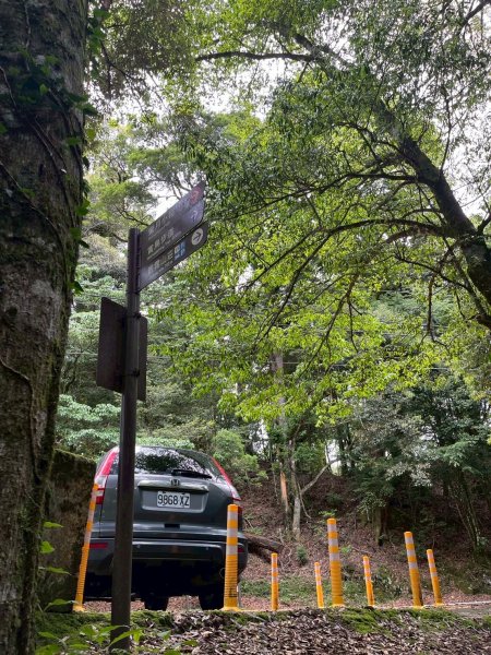 新竹 五峰 觀霧國家森林遊樂區 蜜月小徑+檜山巨木群步道2811447