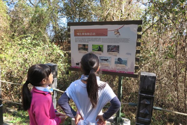 梨山賓館步道875967