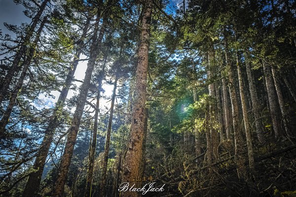 雪山主峰一日單攻963340