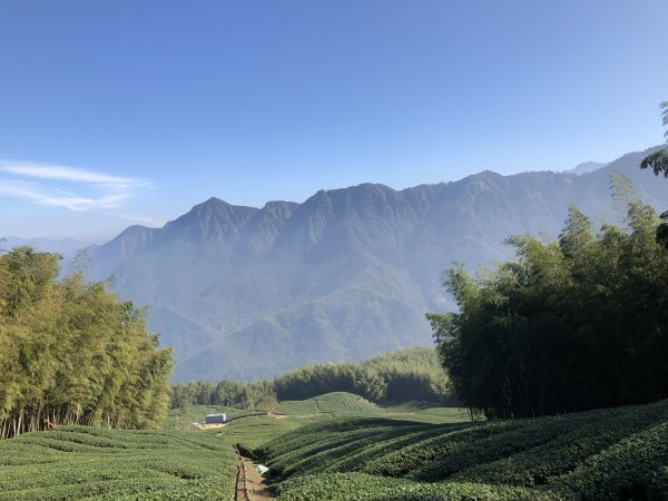 南投鹿谷大石公走樟空崙山O型路線