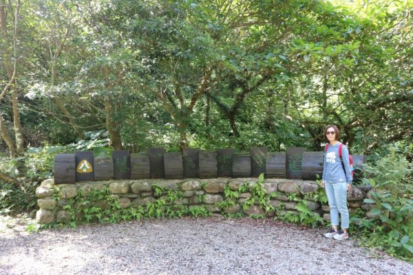 林美石磐步道447484