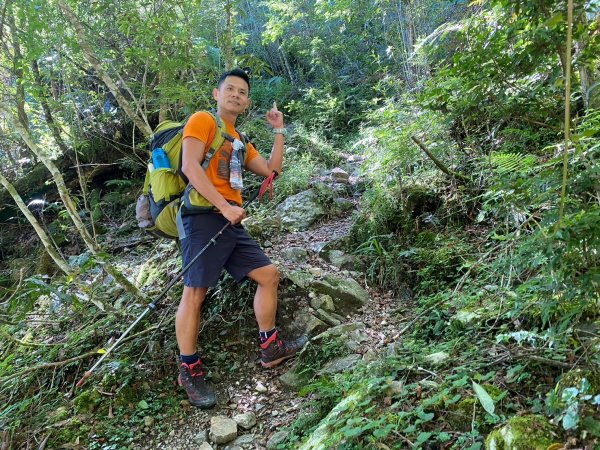 雙龍林道-巒安堂-西巒大山【一切都很美好 除了肩膀之外】2567824