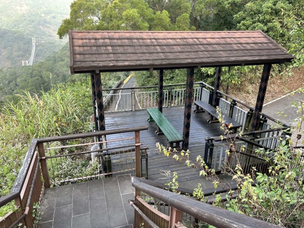 龍頭山步道2969819