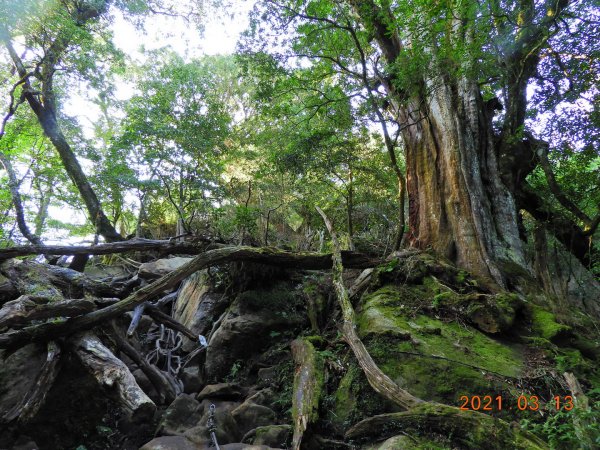 苗栗 南庄 加里山、哈堪尼山1304163